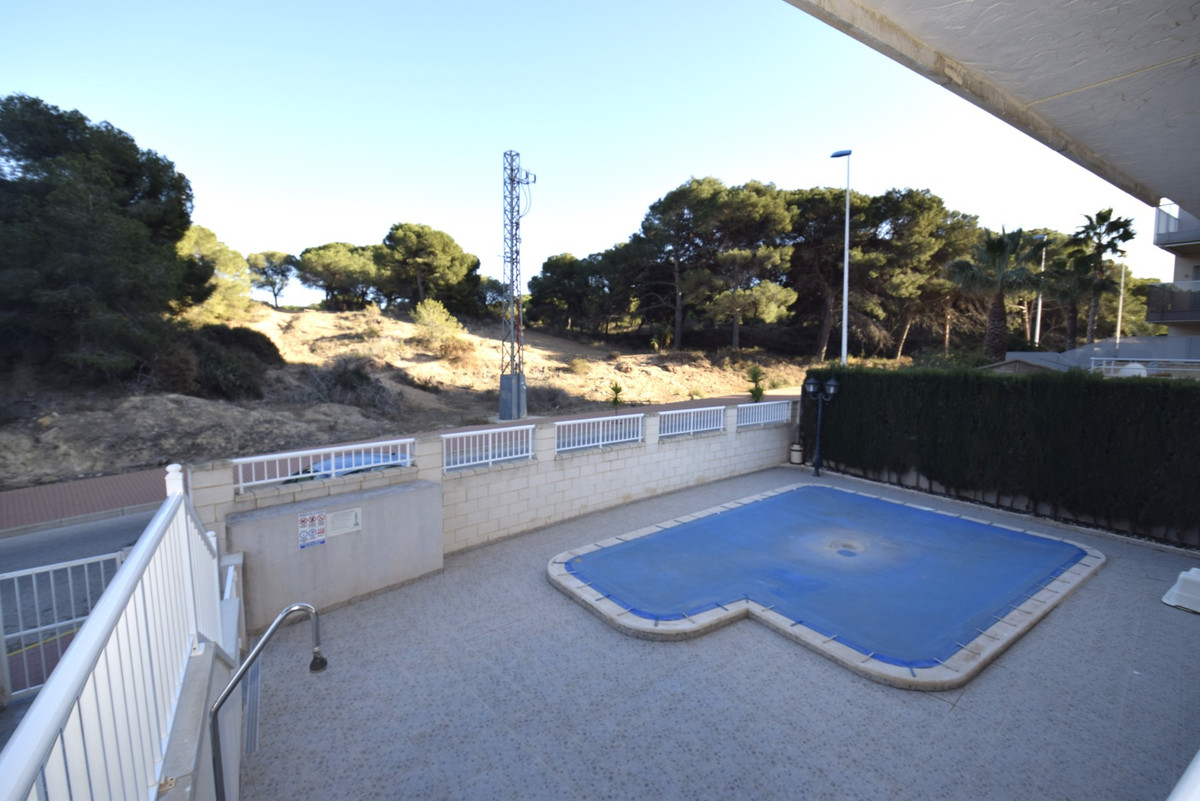 3-Bedroom Ground Floor Apartment in Guardamar del Segura... - Image 19