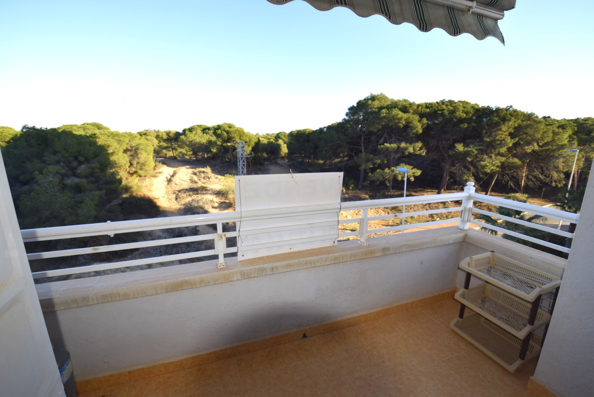 3-Bedroom Ground Floor Apartment in Guardamar del Segura... - Image 4