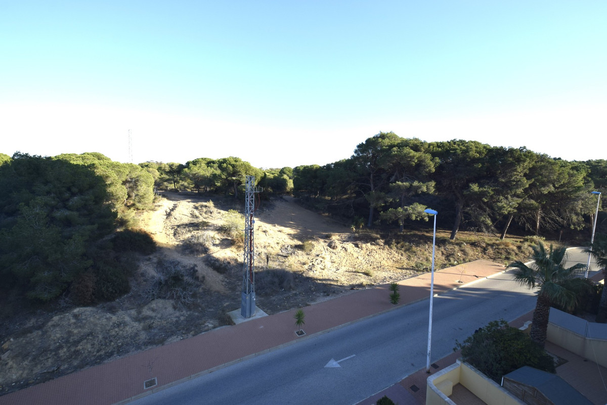 3-Bedroom Ground Floor Apartment in Guardamar del Segura... - Image 6