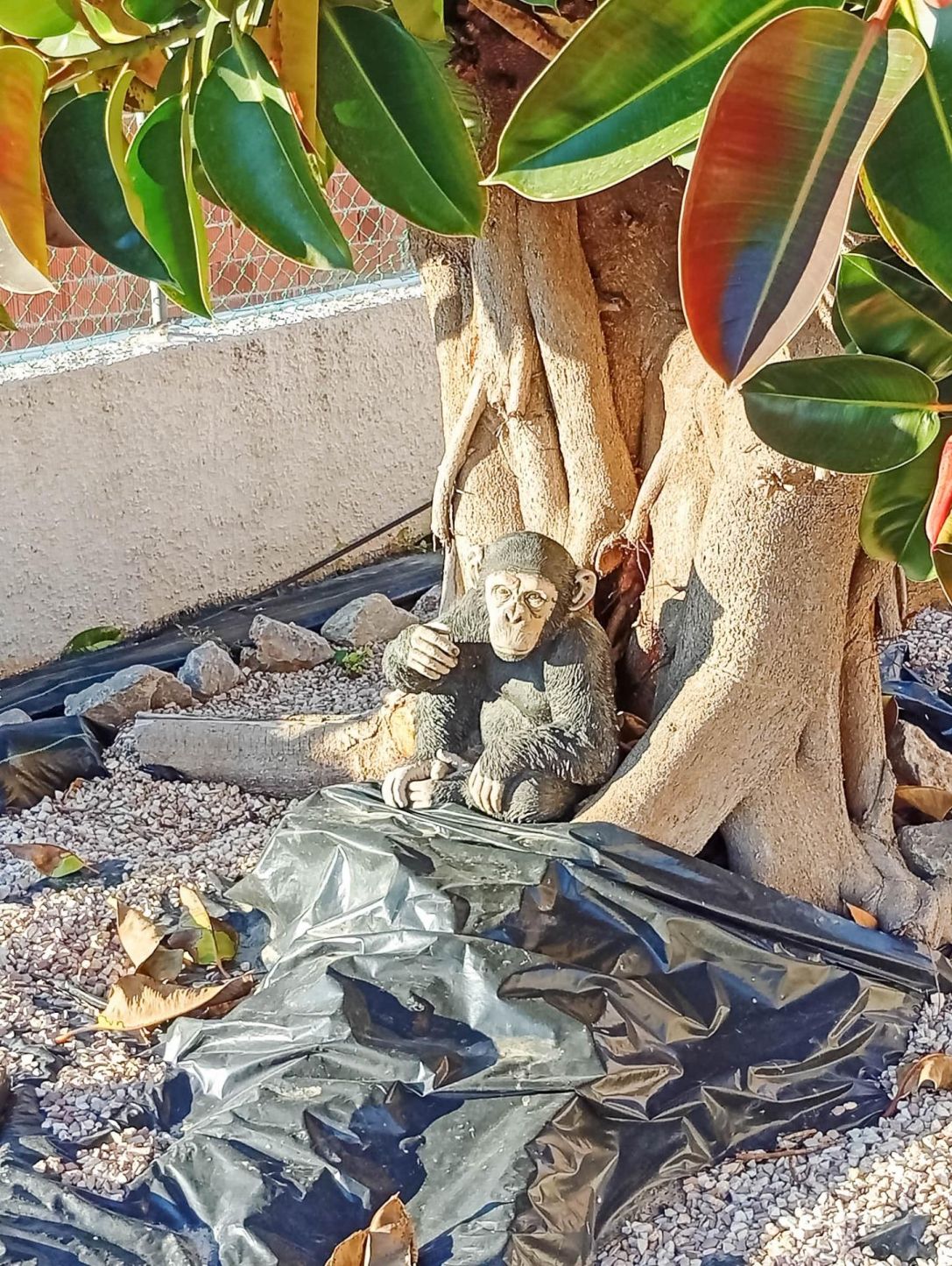 4-Bedroom Villa in Torrevieja - Image 32