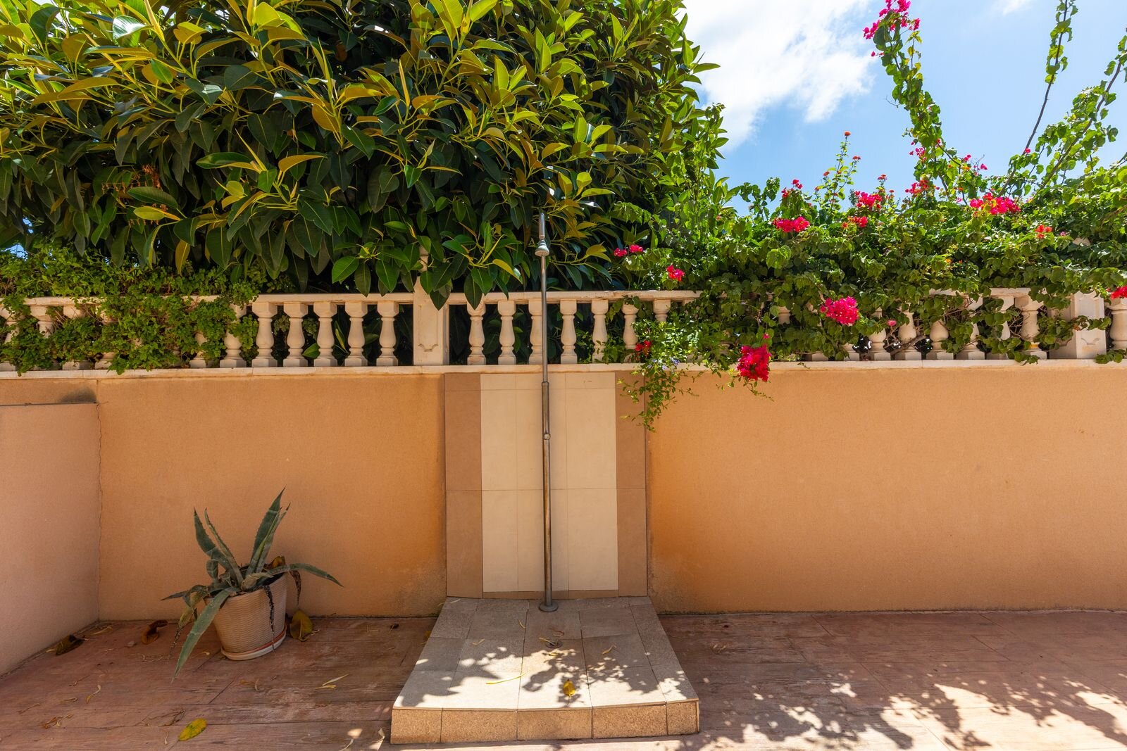 1-Zimmer Wohnung in Punta Prima, Torrevieja - Image 21