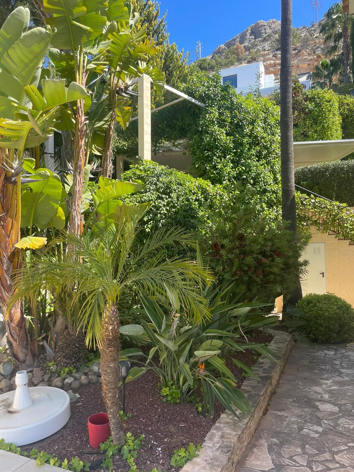 3 magamistuba - Villa - Altea - Image 5