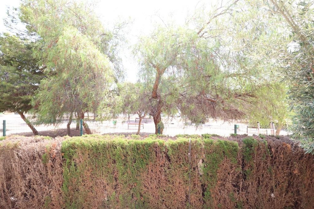 Bungalow" → "Bungalow de 2 Chambres à Punta Prima, Orihue... - Image 18