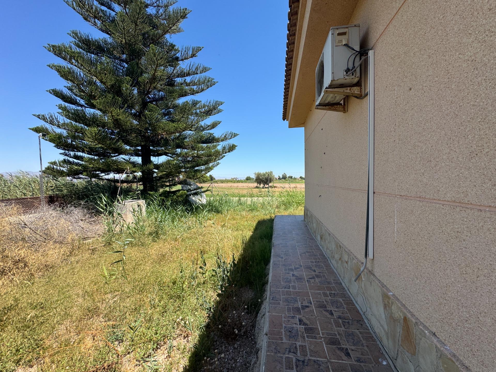 4-Bedroom Country House in Comunidad Valenciana, Dolores - Image 42