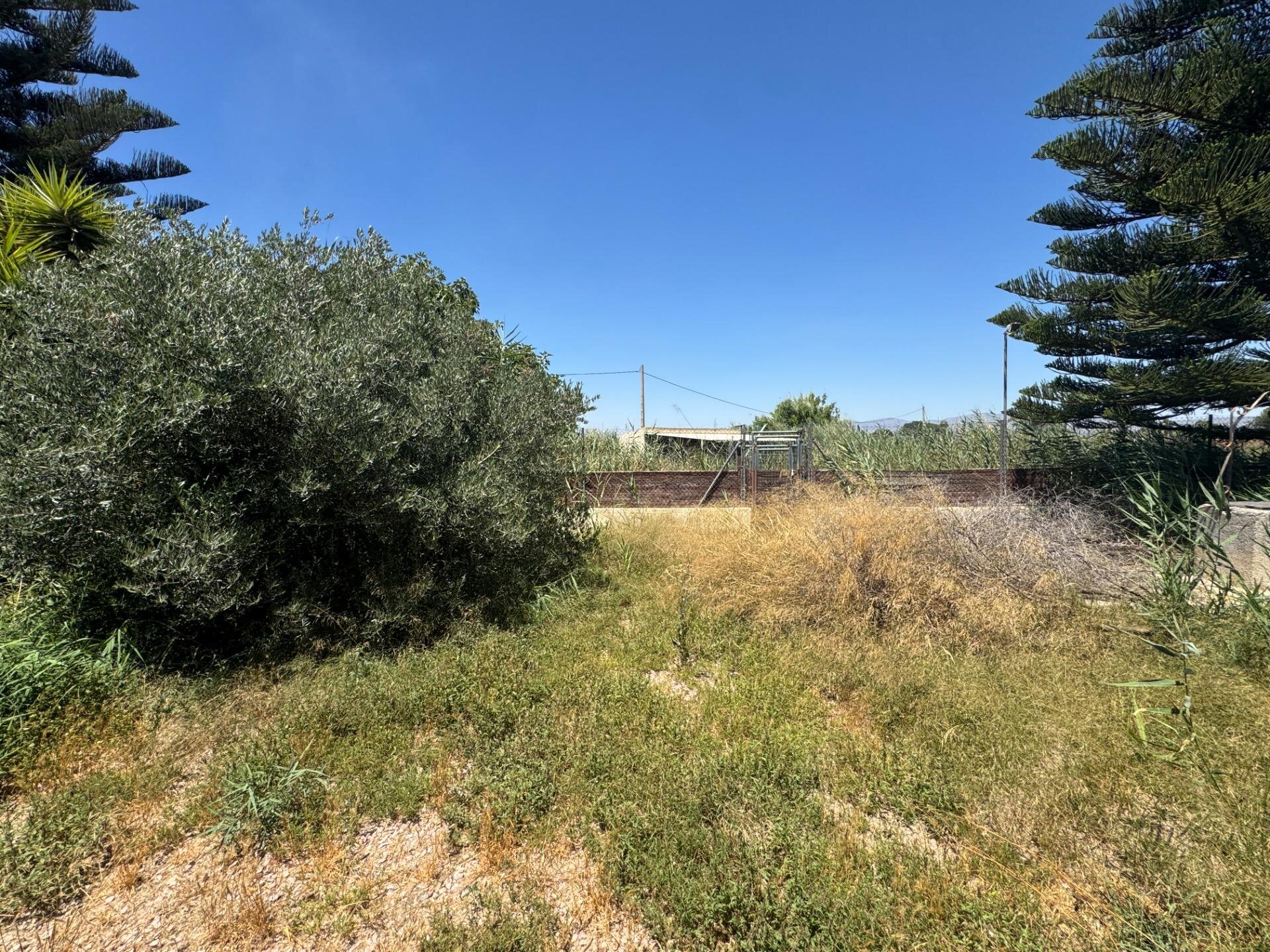 4-Bedroom Country House in Dolores - Image 44