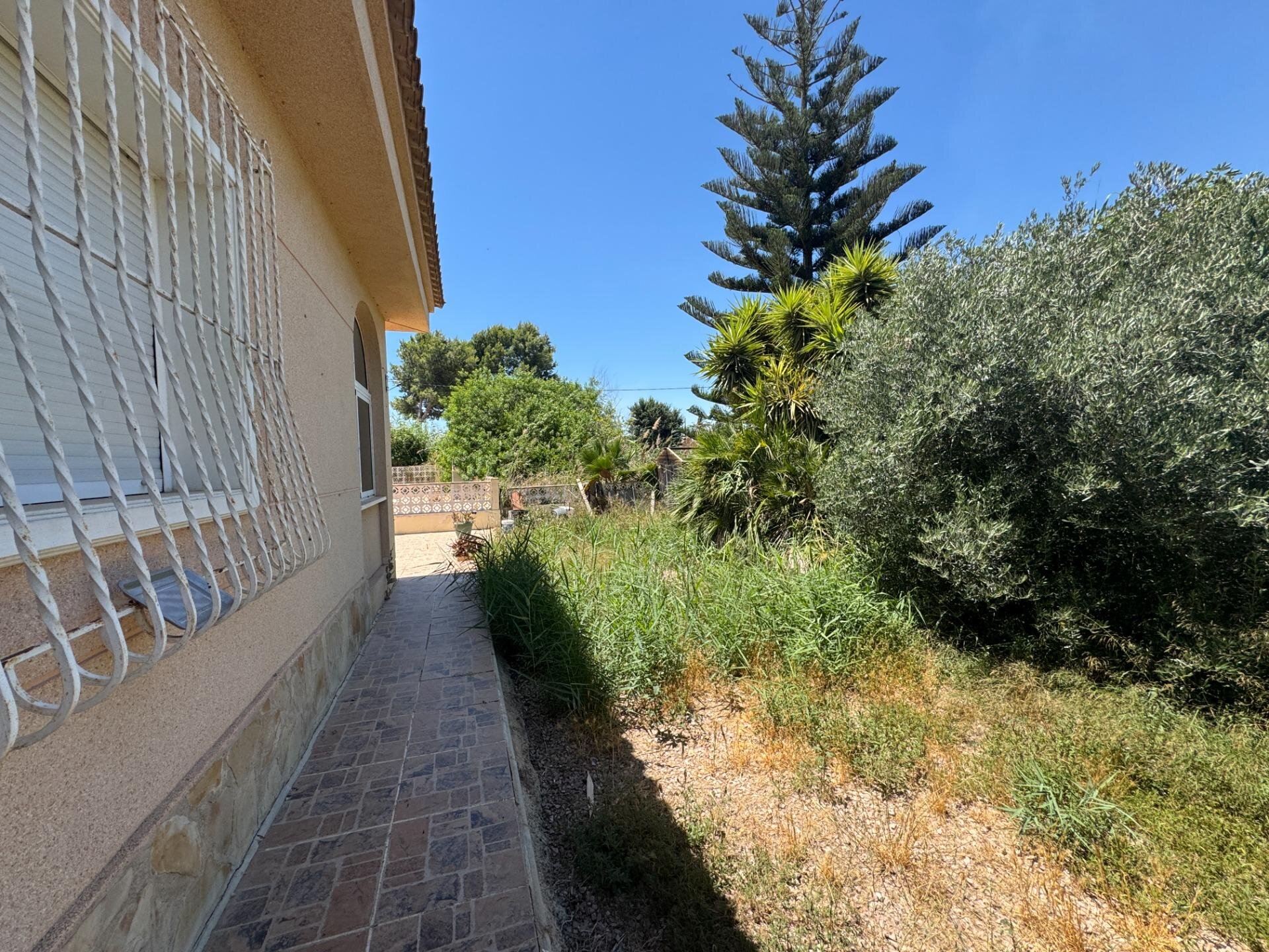 4-Bedroom Country House in Dolores - Image 48