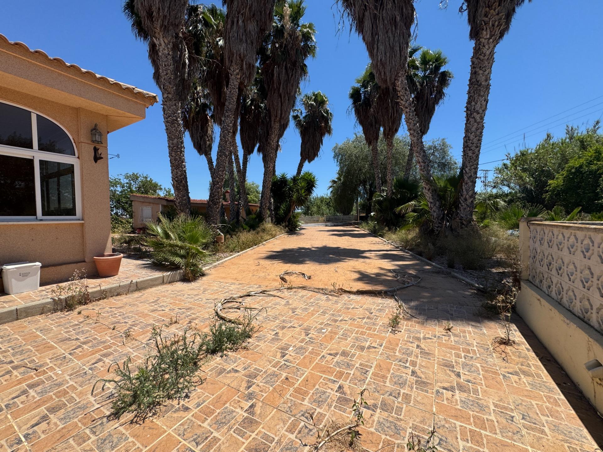 4-Bedroom Country House in Comunidad Valenciana, Dolores - Image 5