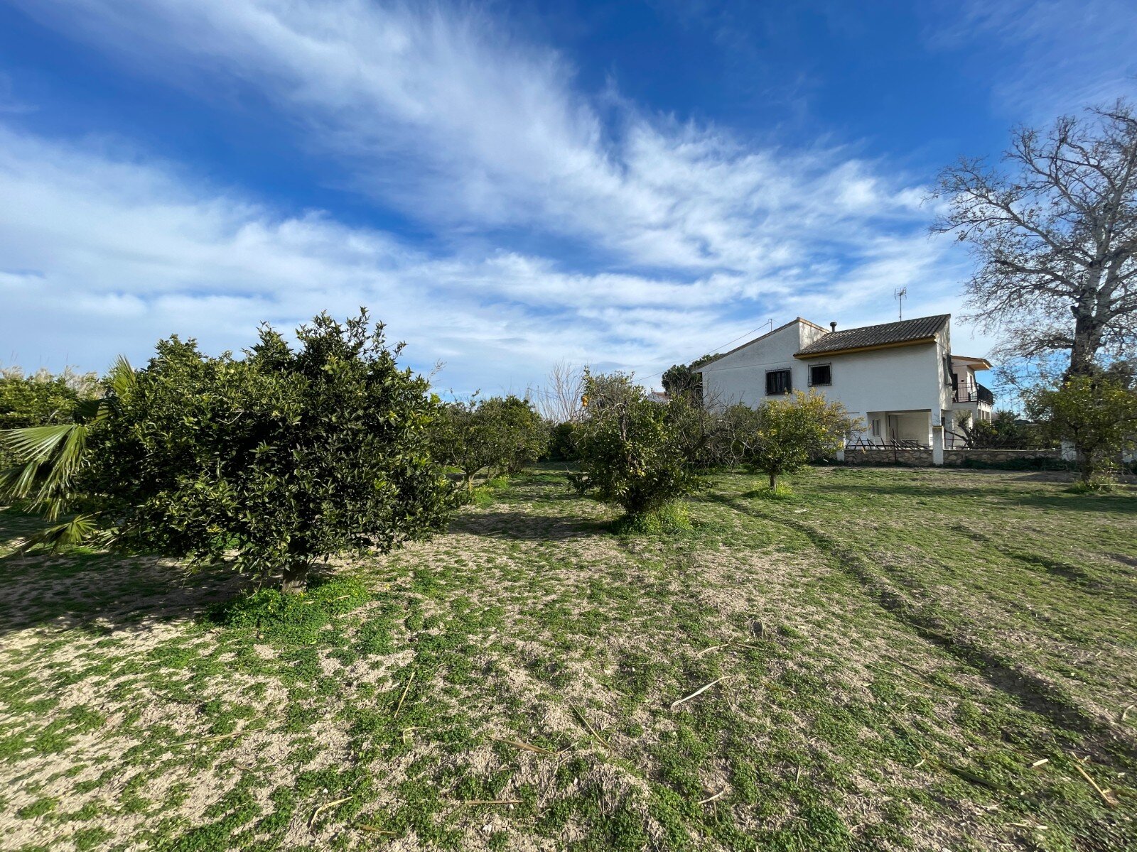 5-Bedroom Villa in Molins-Campaneta-San Bartolomé, Orihuela - Image 3