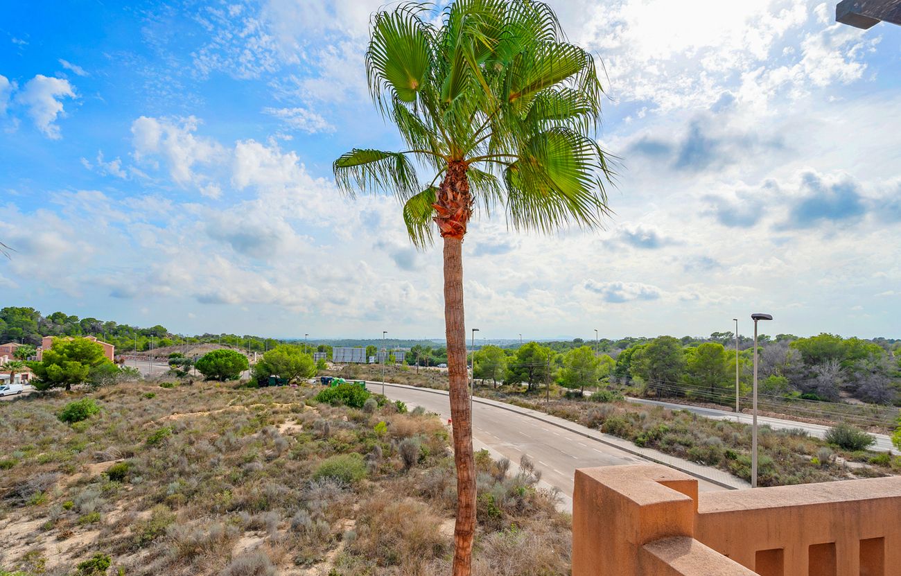 2-Bedroom House in Pueblo, San Miguel de Salinas - Image 30