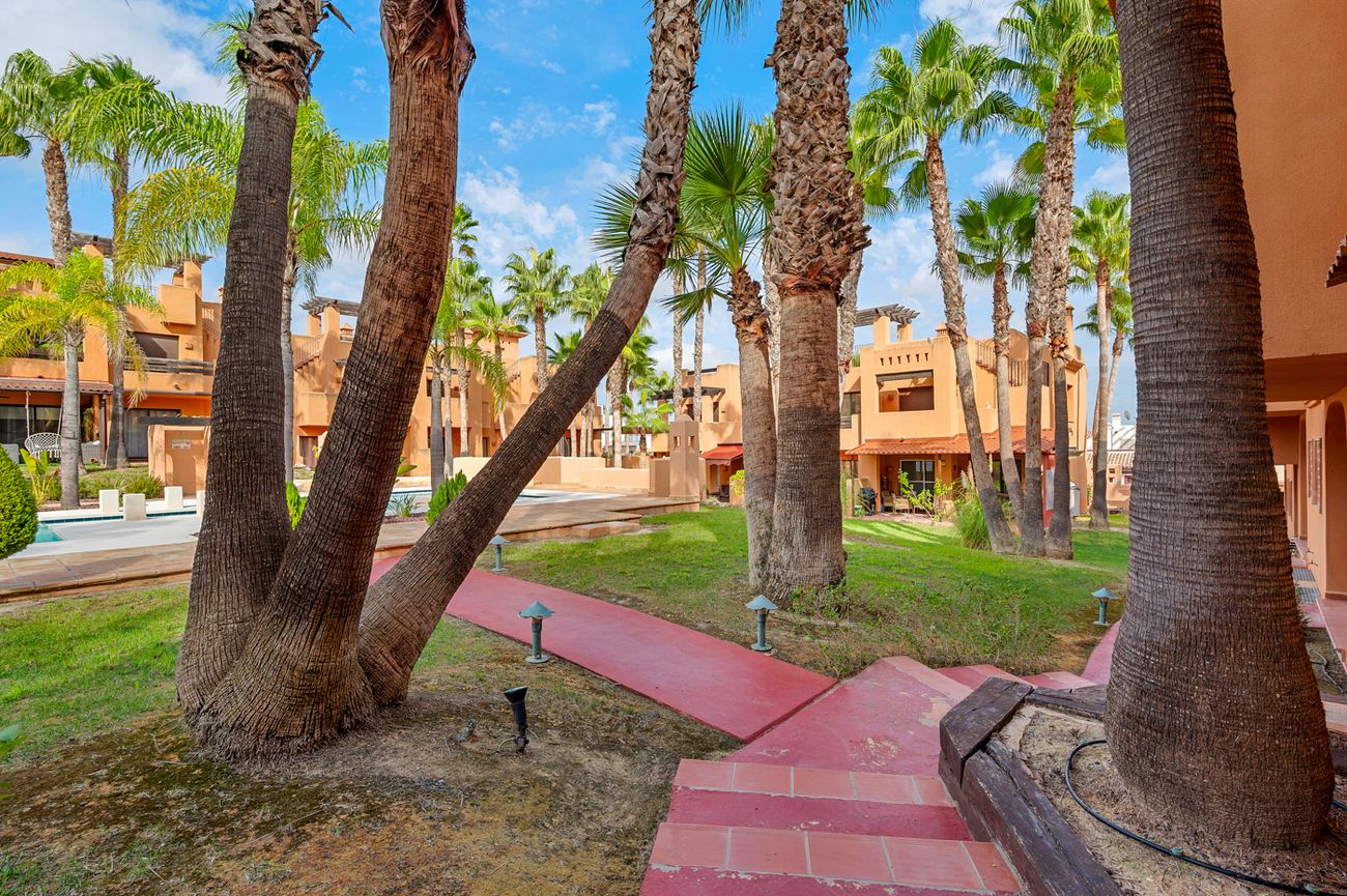 2-Bedroom House in Pueblo, San Miguel de Salinas - Image 35