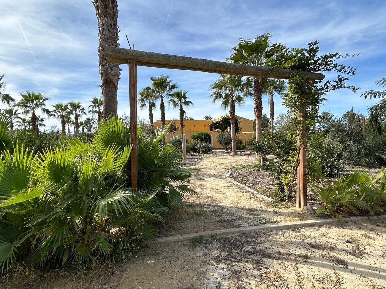 3-Bedroom House in Dolores - Image 49