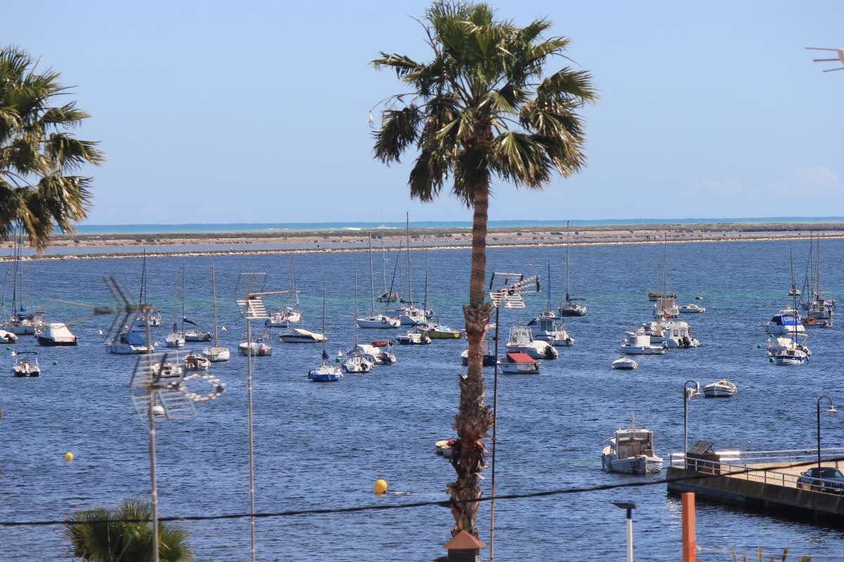 2-Bedroom Apartment in La Puntica, Lo Pagan - Image 1