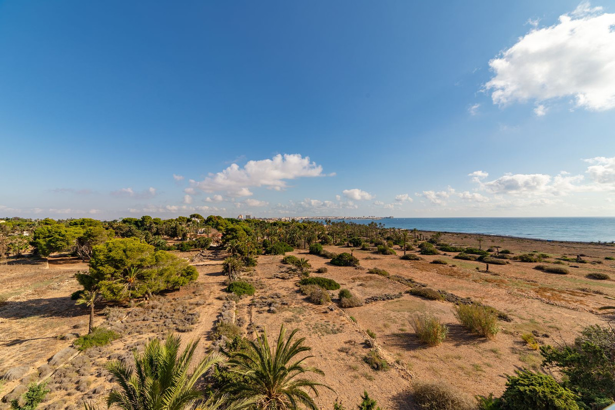 Tussenwoning met 2 Slaapkamers in Punta Prima, Orihuela C... - Image 14