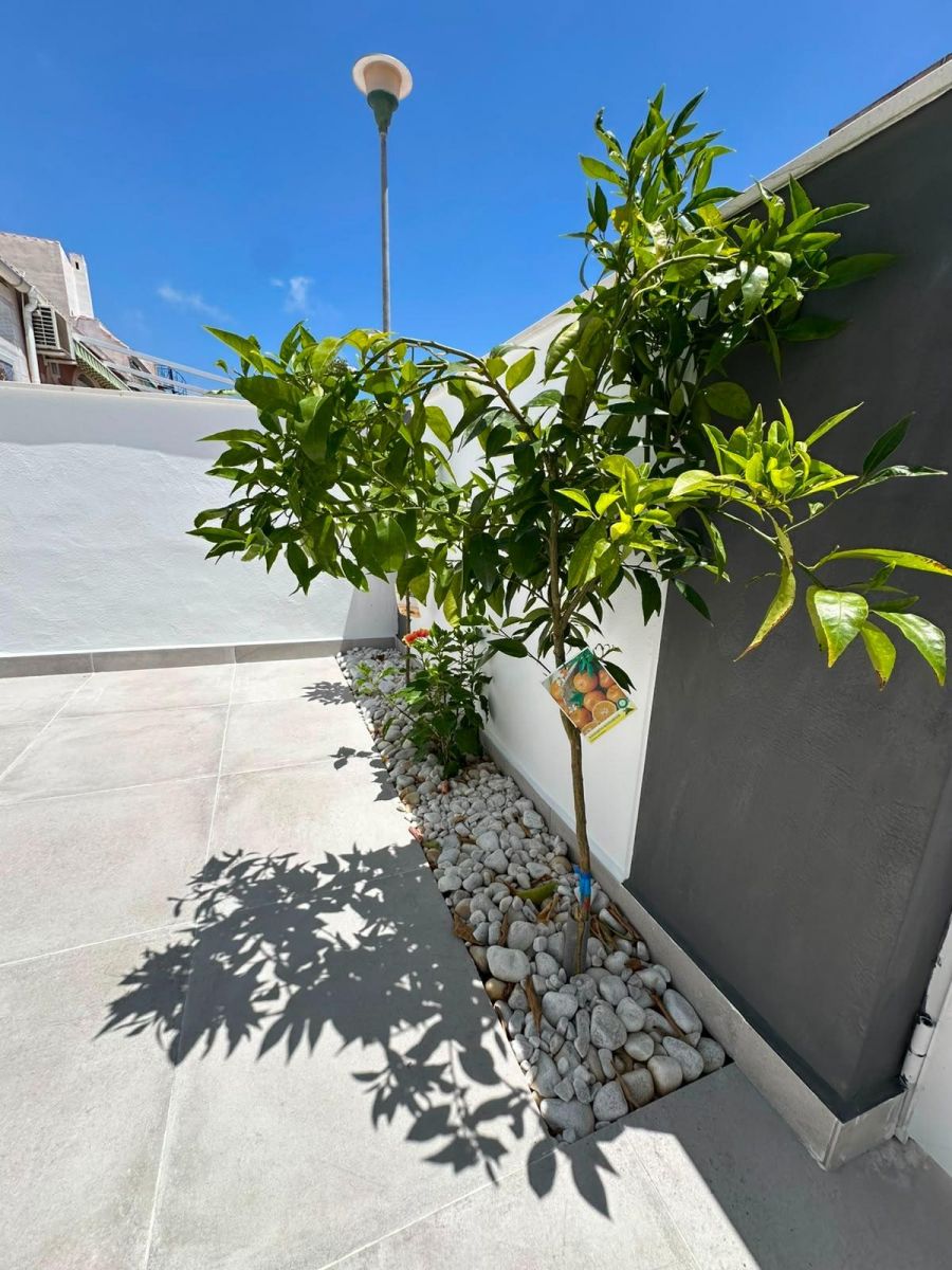 2-Bedroom Bungalow in La Siesta - El Salado - Torreta, Torrevieja - Image 6