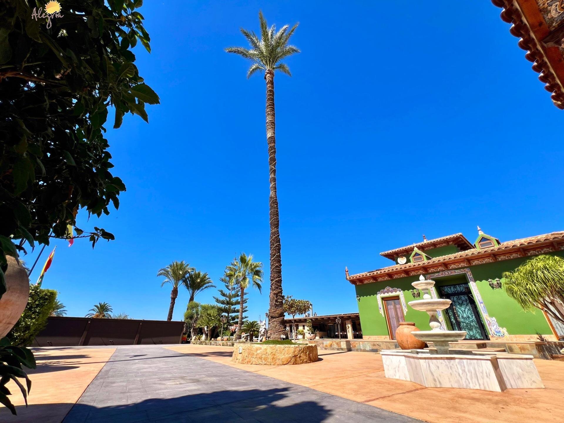4-Bedroom Villa in Comunidad Valenciana, Almoradi - Image 4