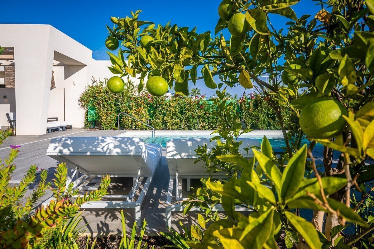 2-Bedroom Villa in Algorfa - Image 11