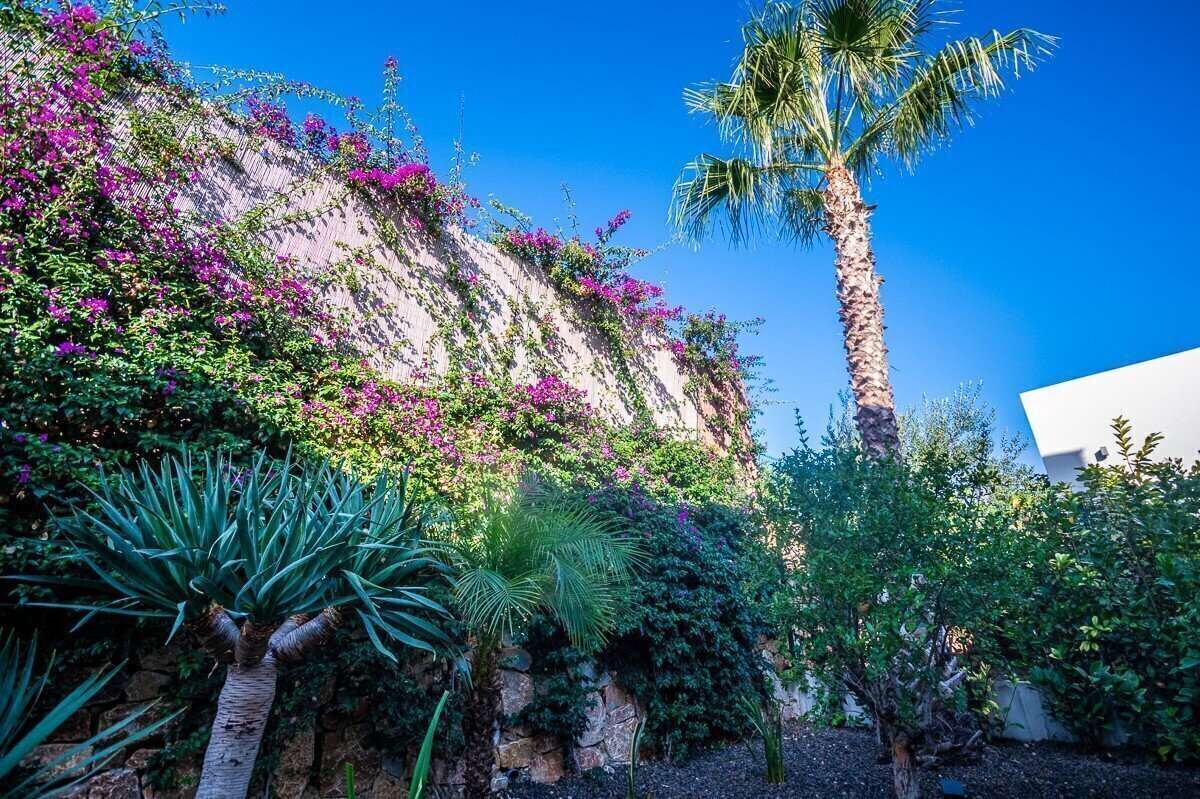 2-Bedroom Villa in Algorfa - Image 16