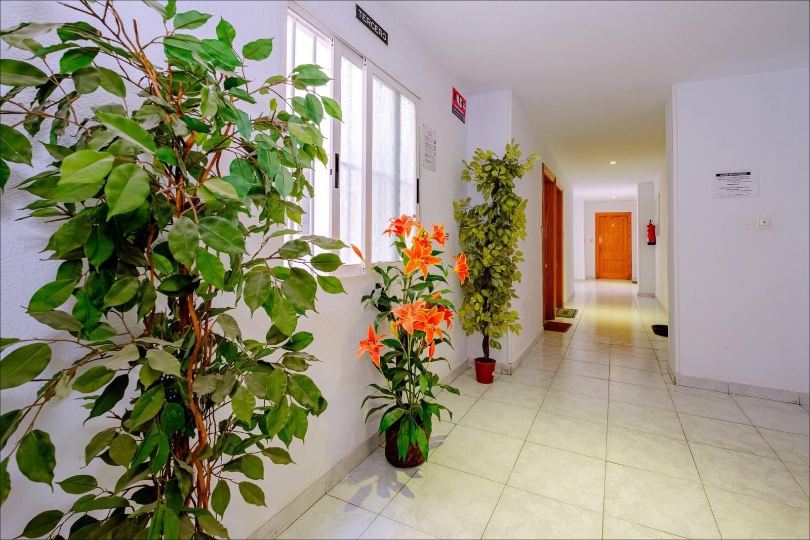 1-Bedroom Apartment in Estacion de Autobuses, Torrevieja - Image 22