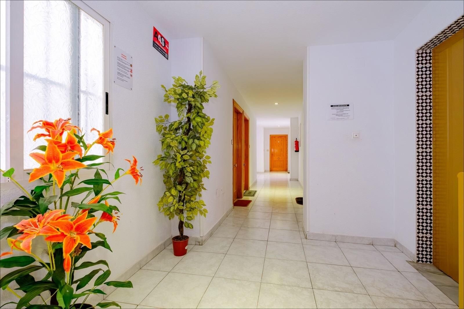 1-Bedroom Apartment in Estacion de Autobuses, Torrevieja - Image 23
