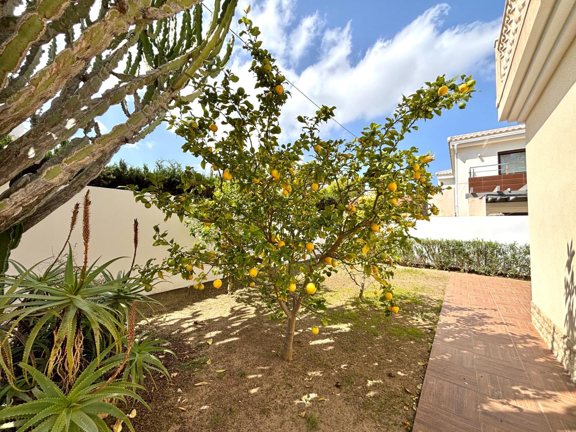 4-Bedroom Villa in Cabo Roig - Image 7