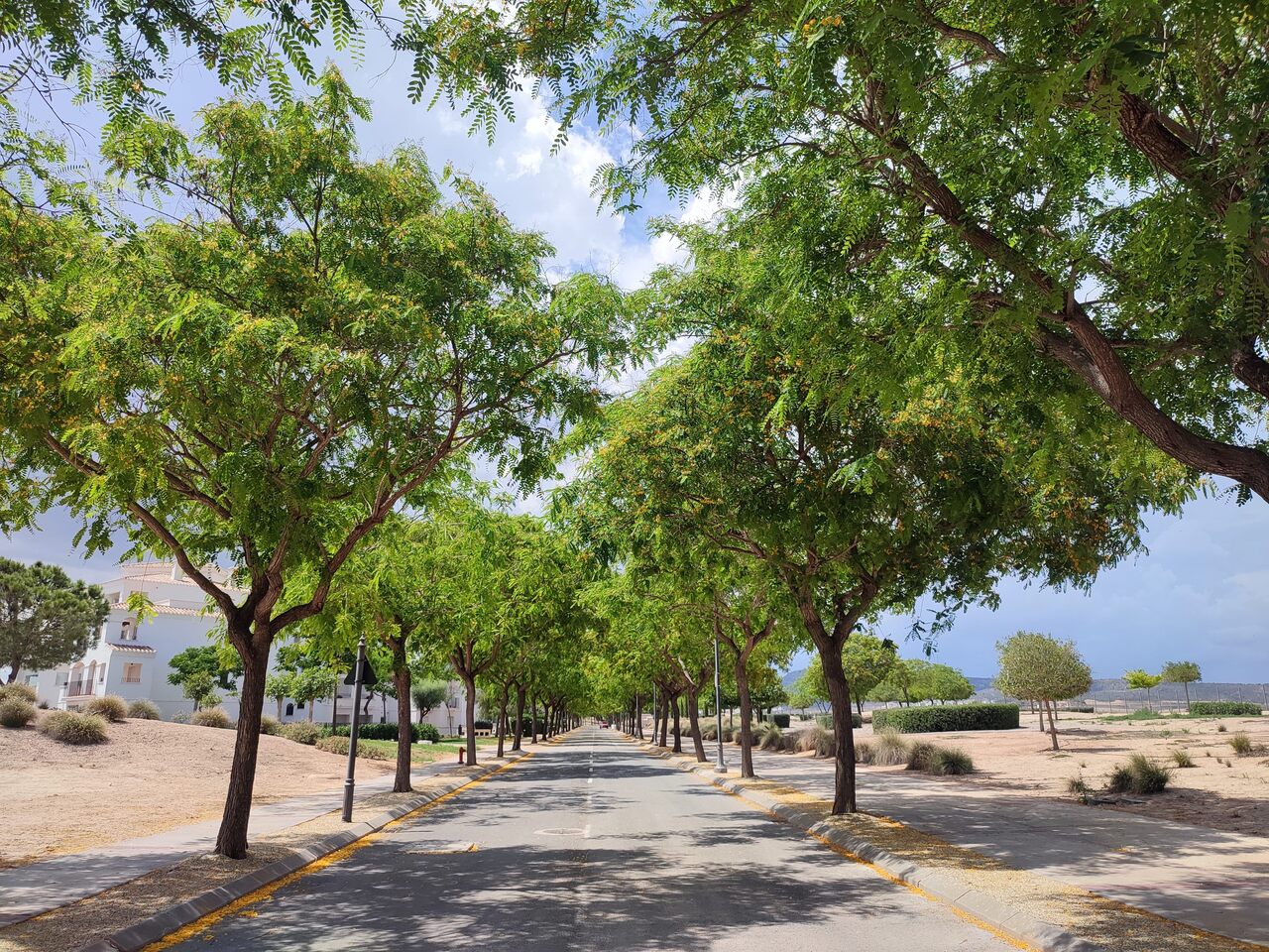 Appartement de 2 Chambres à Sucina, Sucina - Image 46