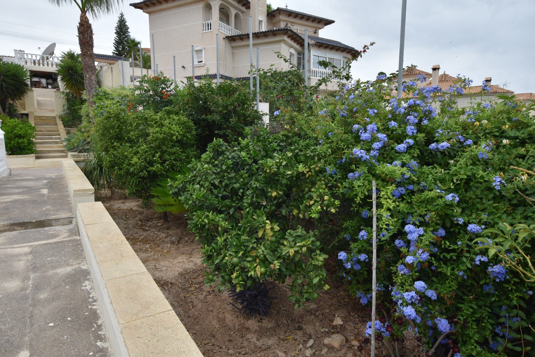 3-Bedroom Villa in Algorfa - Image 37