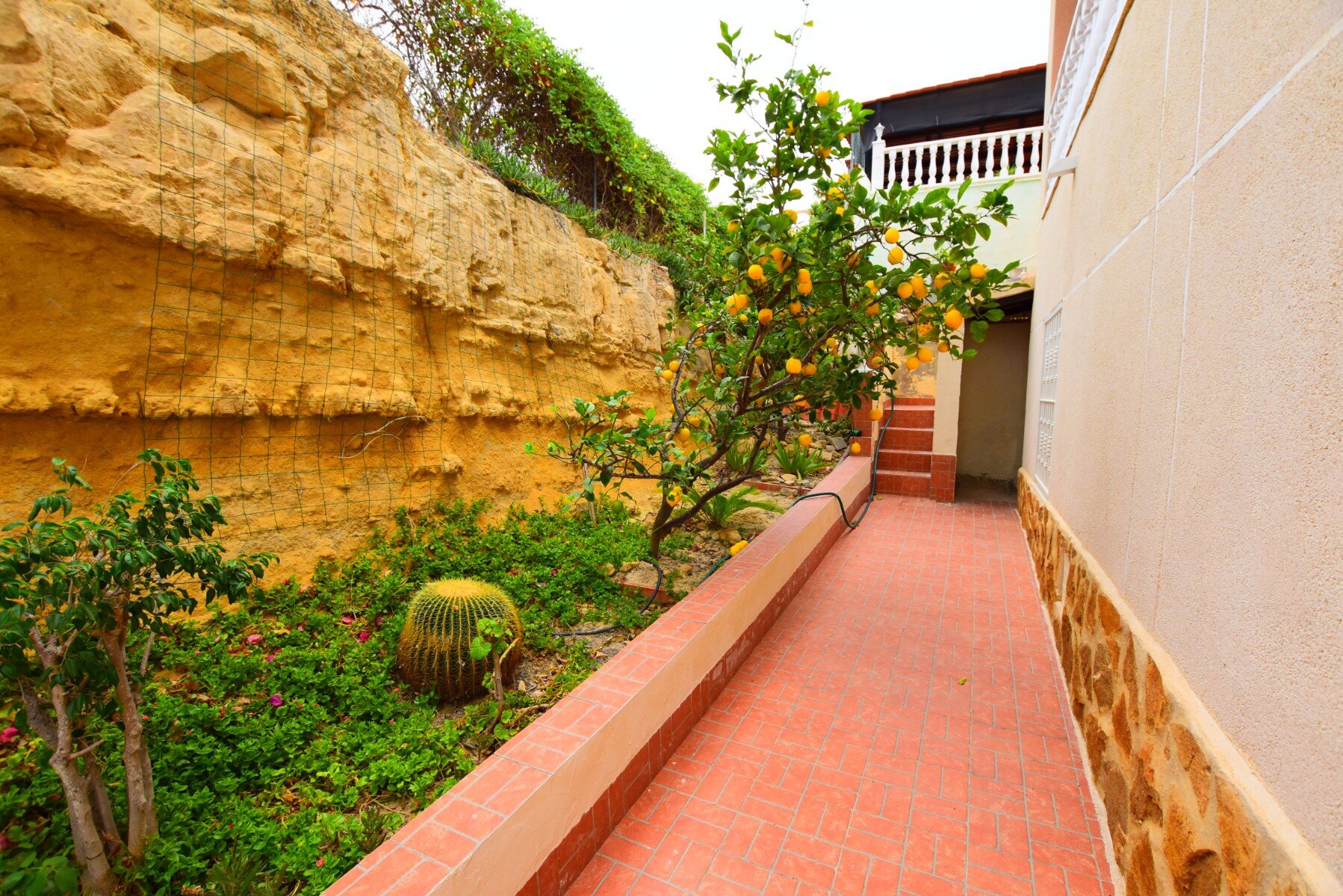 3-Bedroom Villa in Algorfa - Image 47