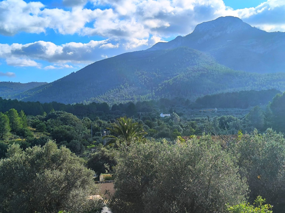 3-Zimmer Freistehende Villa in  Parcent | Sunny Casas - I... - Image 4