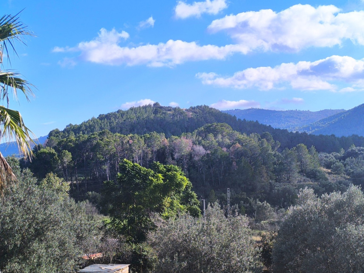 3-Zimmer Freistehende Villa in  Parcent | Sunny Casas - I... - Image 5