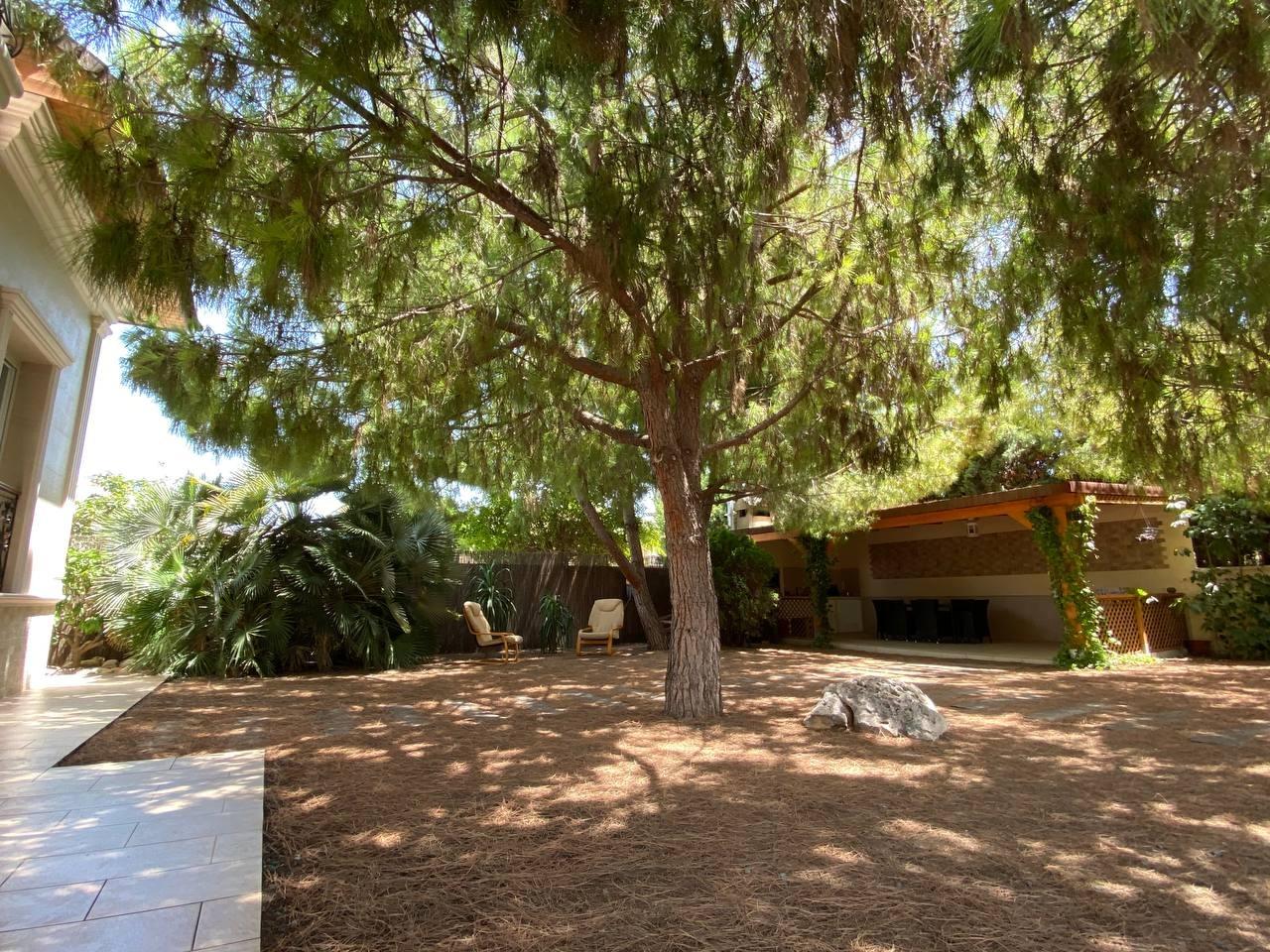 5-Bedroom Villa in Costa Blanca Sur, Benijofar - Image 21