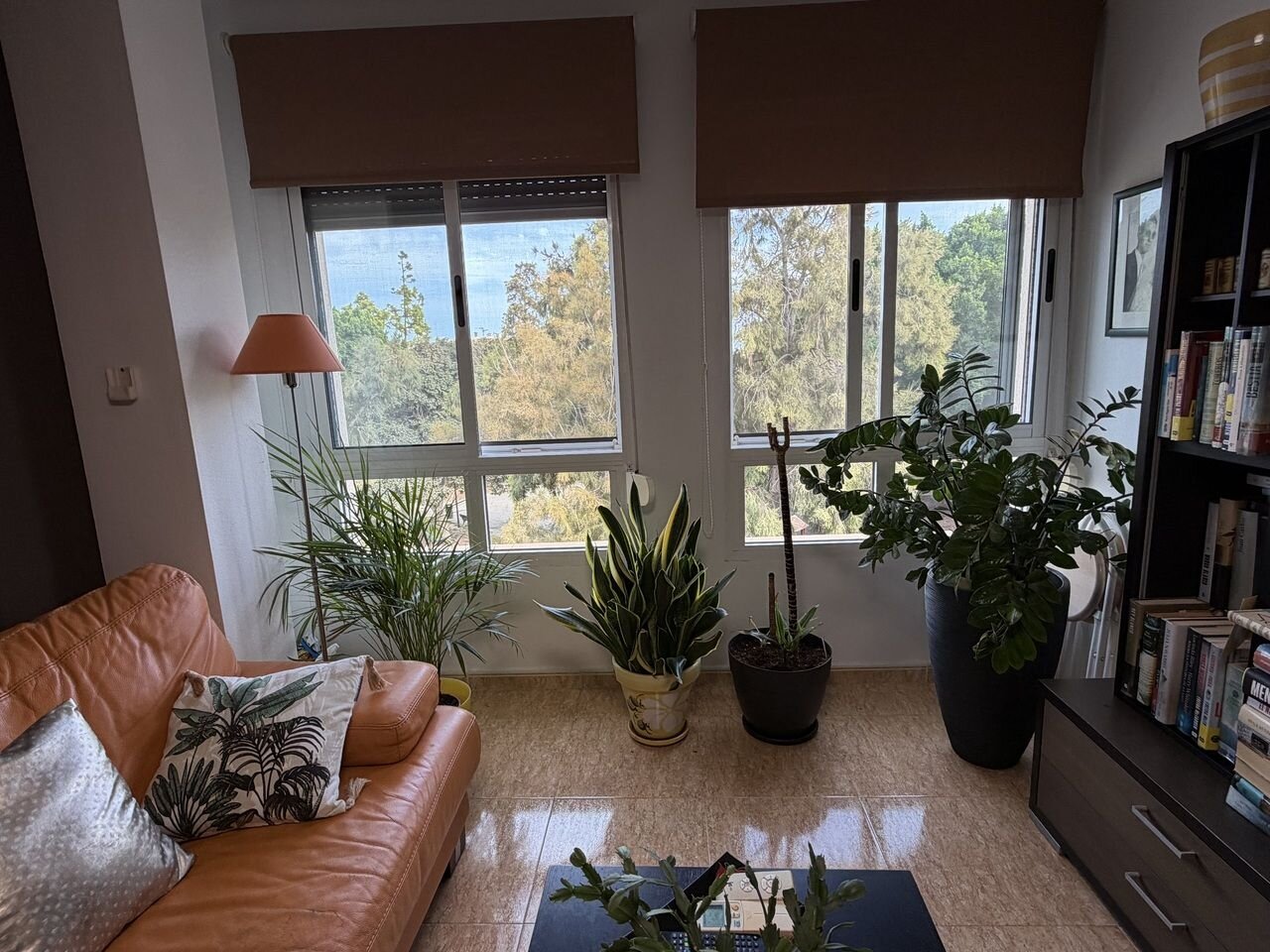 2-Bedroom Apartment in Pilar de la Horadada - Image 5