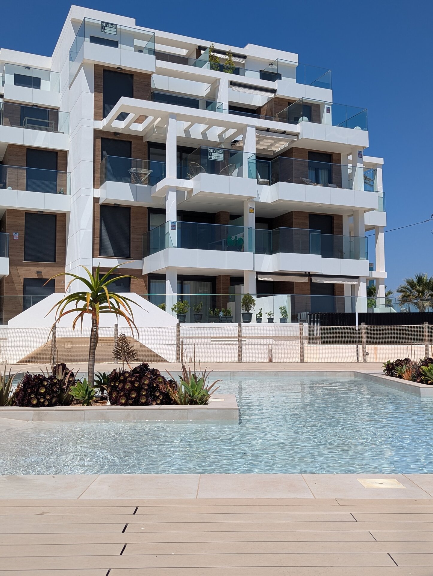 2-Zimmer Erdgeschosswohnung in Denia - Image 3
