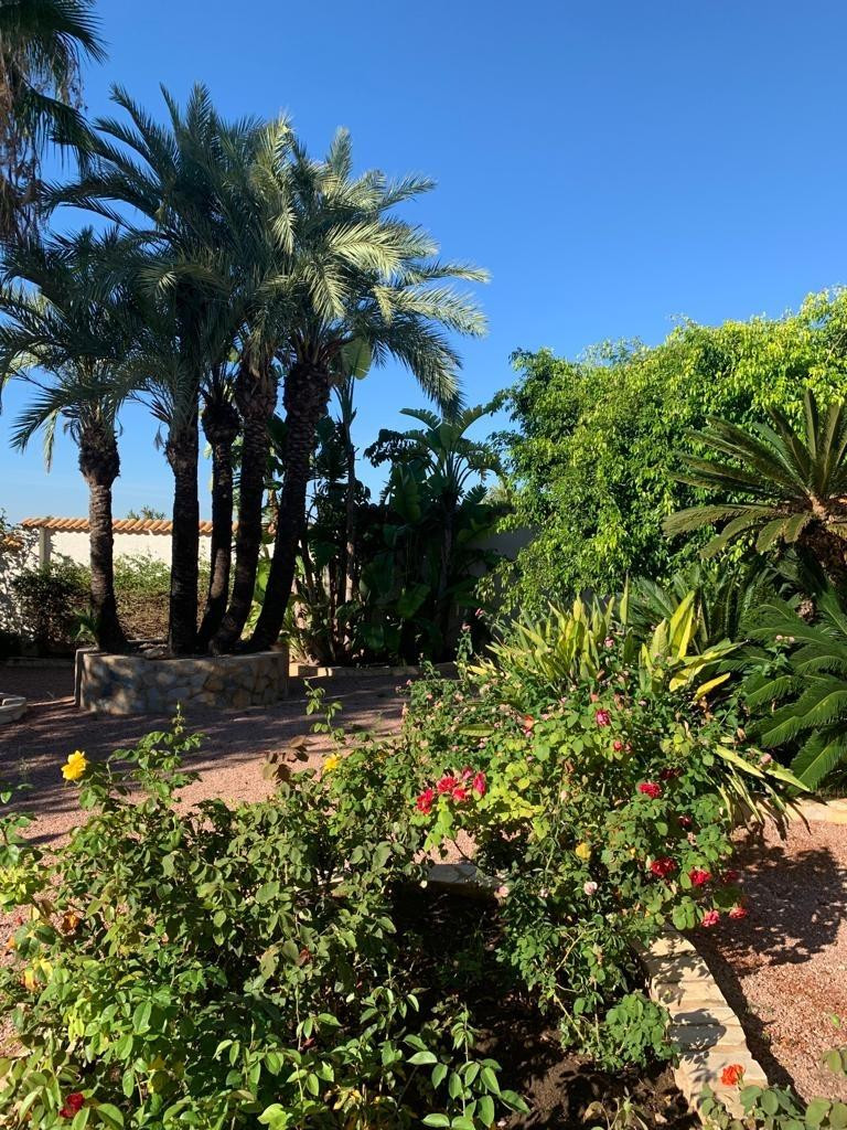 3-Bedroom Bungalow in Ciudad Quesada, Rojales | Sunny Cas... - Image 22