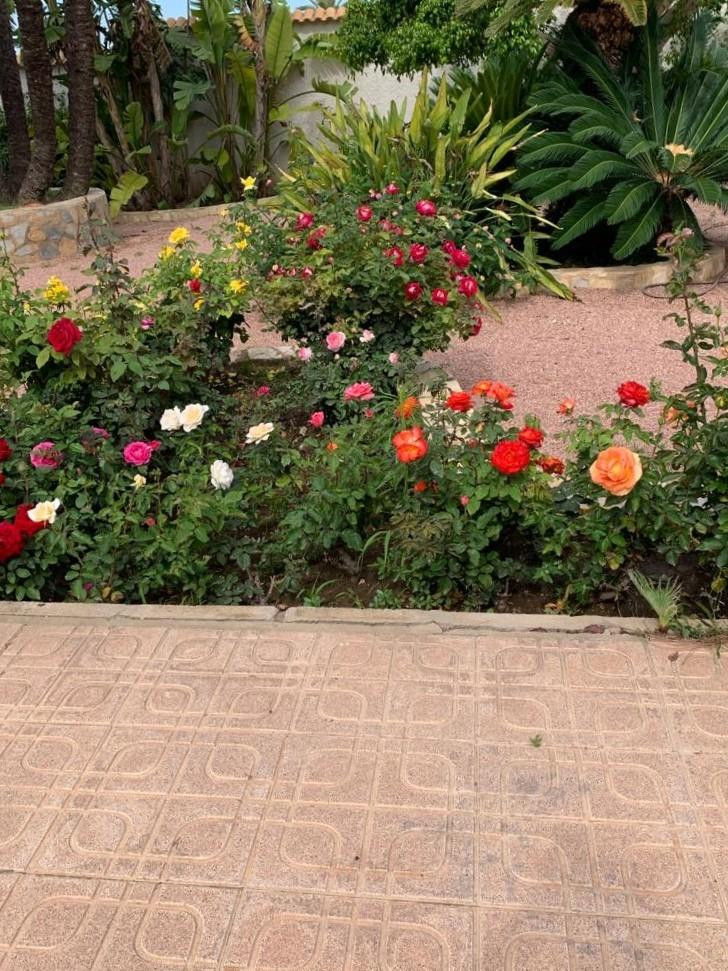 3-Bedroom Bungalow in Ciudad Quesada, Rojales | Sunny Cas... - Image 25