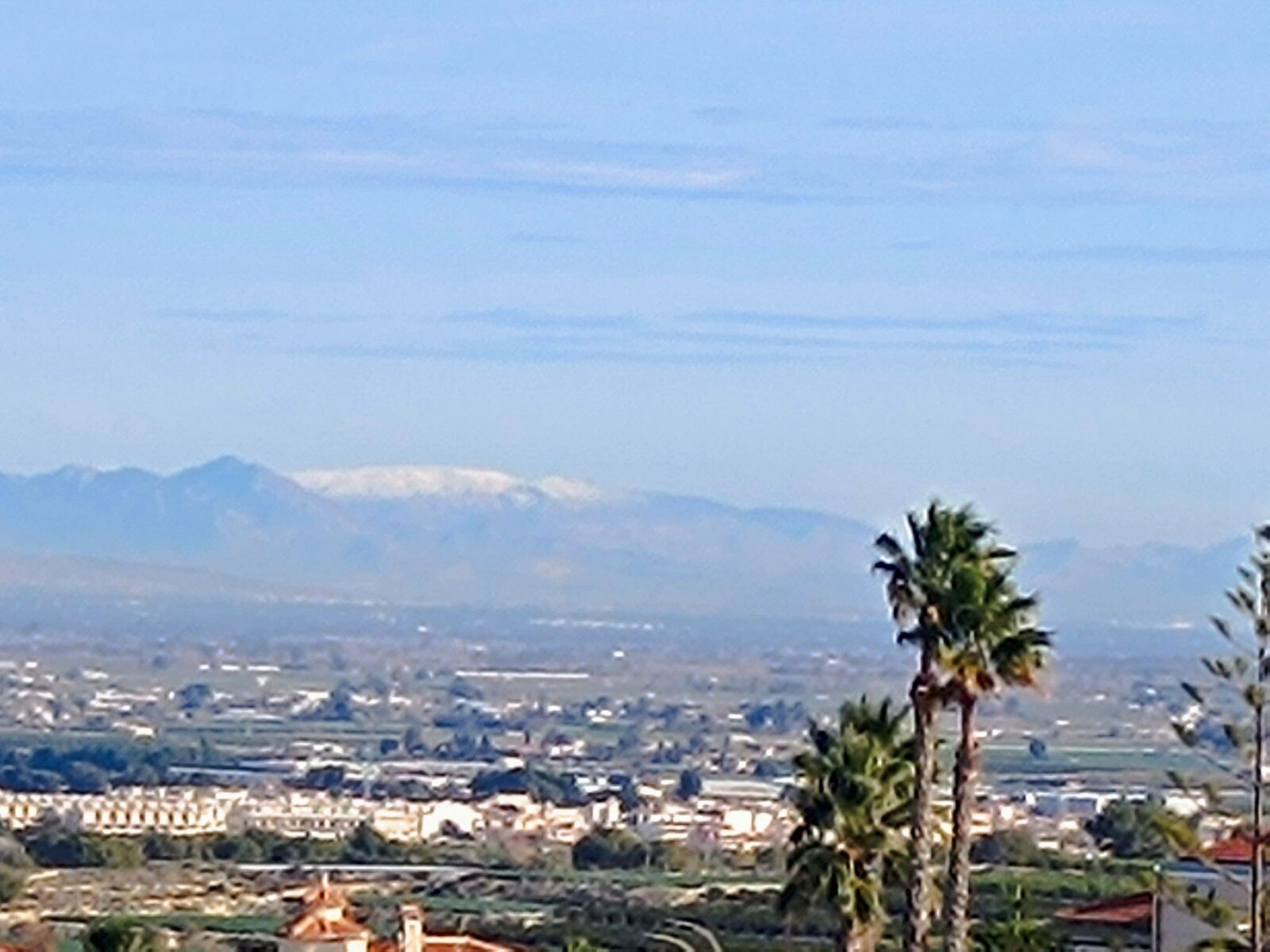 3-Bedroom Villa in Algorfa - Image 45