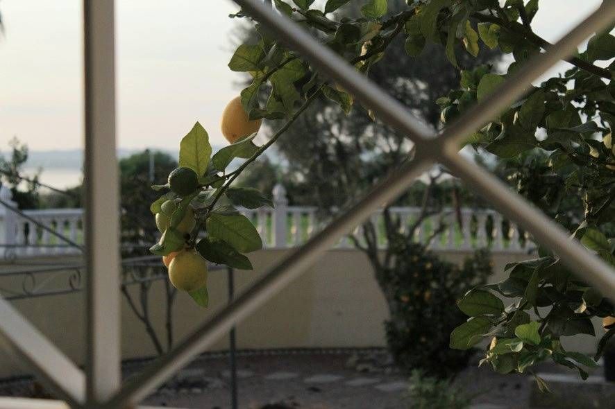 6-Bedroom Villa in La Siesta - El Salado - Torreta, Torrevieja - Image 40