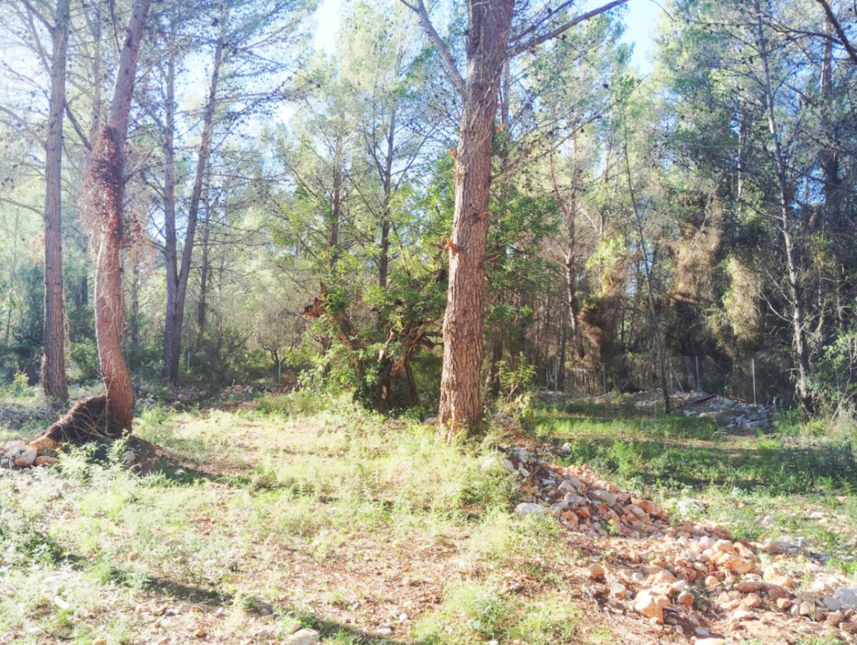 2-Bedroom Detached House in  Parcent | Sunny Casas - Cost... - Image 22