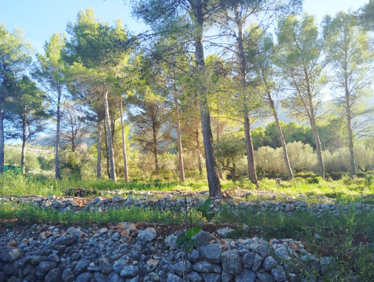 2-Bedroom Detached House in  Parcent | Sunny Casas - Cost... - Image 5