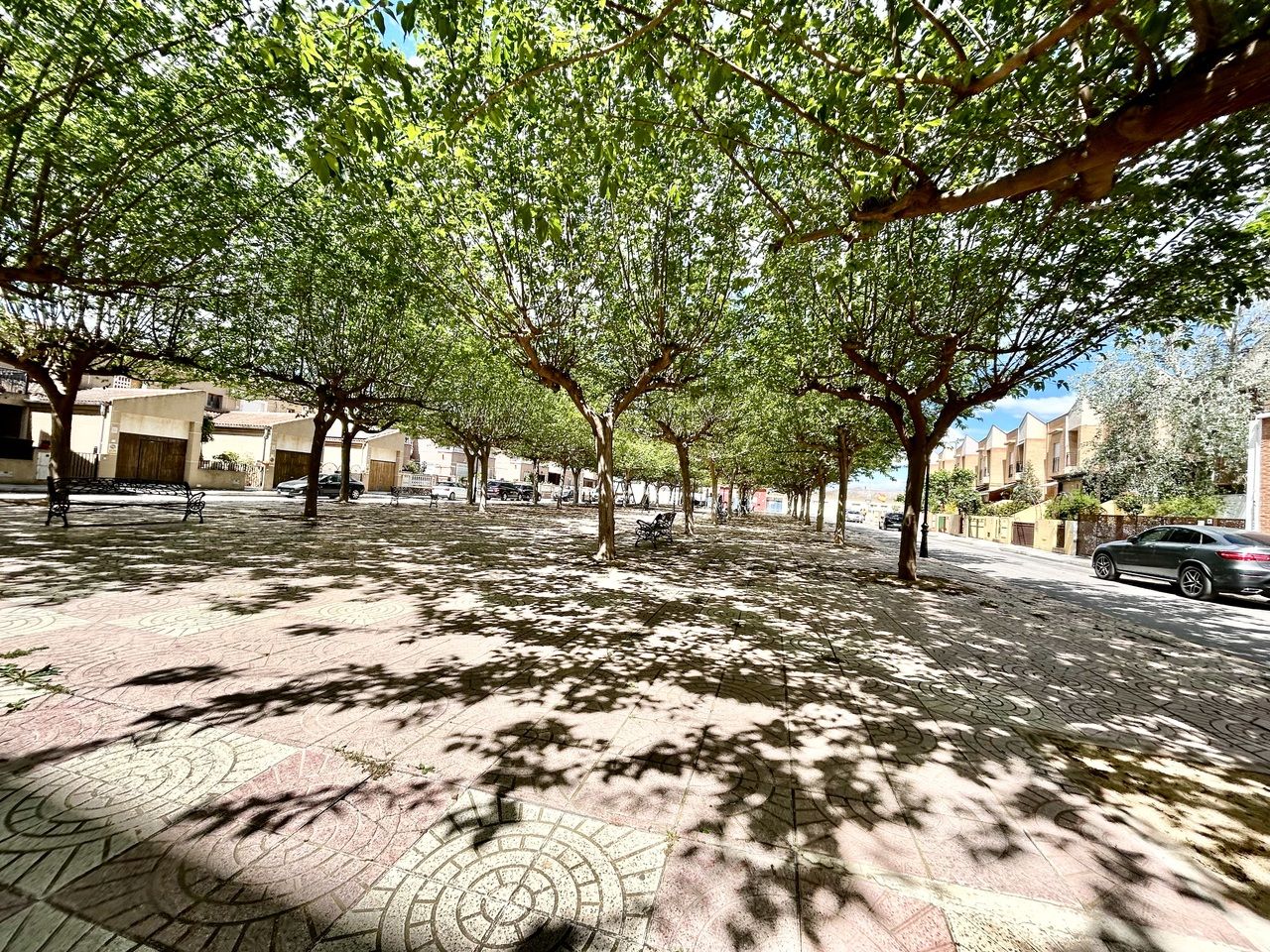 Appartement de 4 Chambres à, Almoradi - Image 40