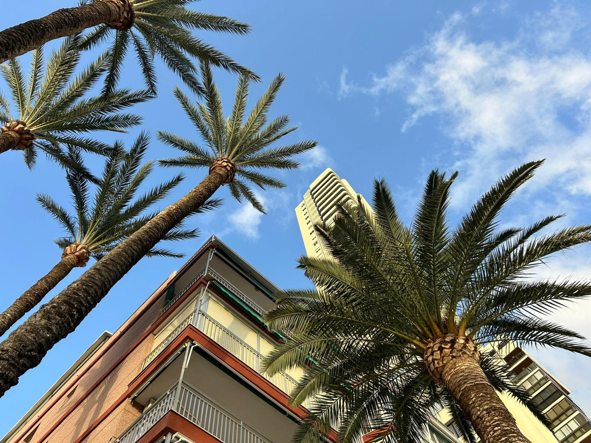 3-Bedroom Middle Floor Apartment in Benidorm | Sunny Cas... - Image 23