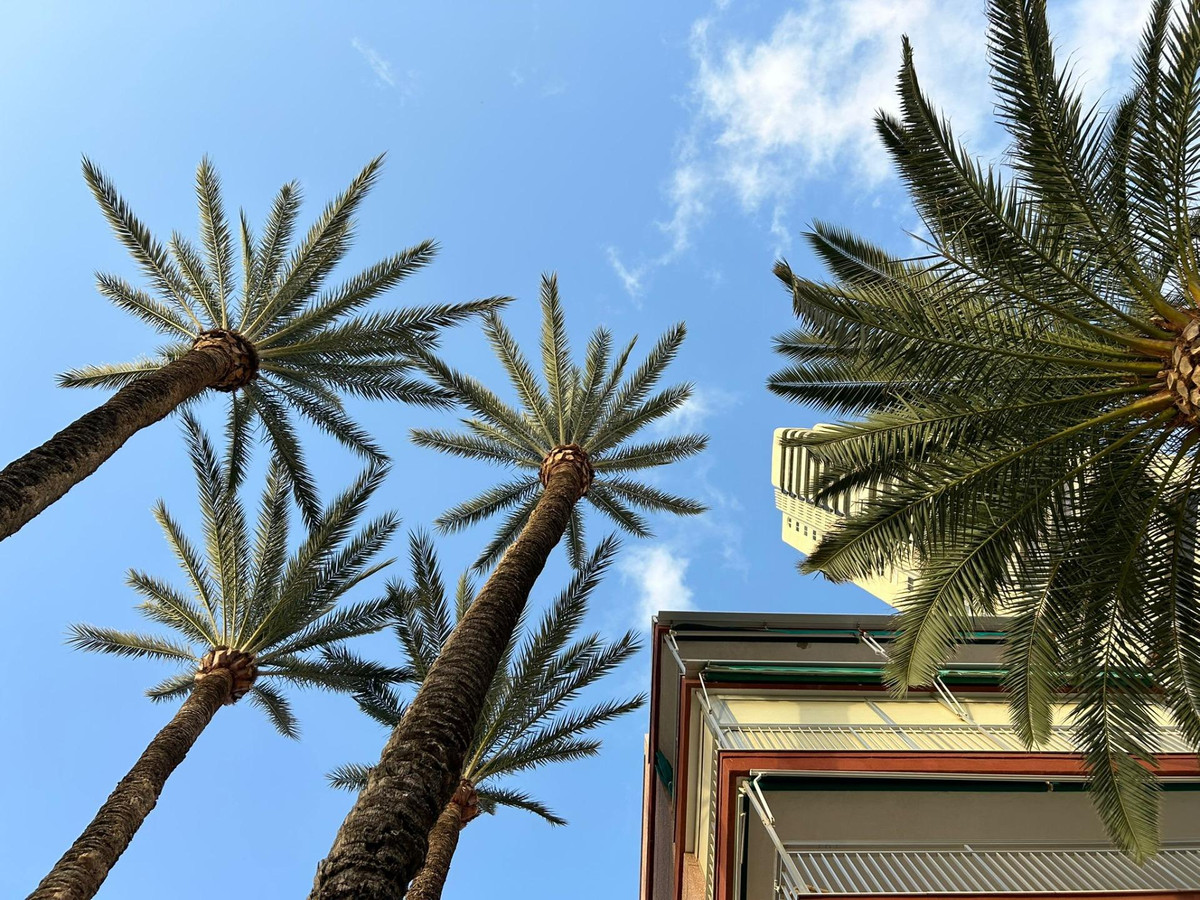 3-Bedroom Middle Floor Apartment in Benidorm | Sunny Cas... - Image 4