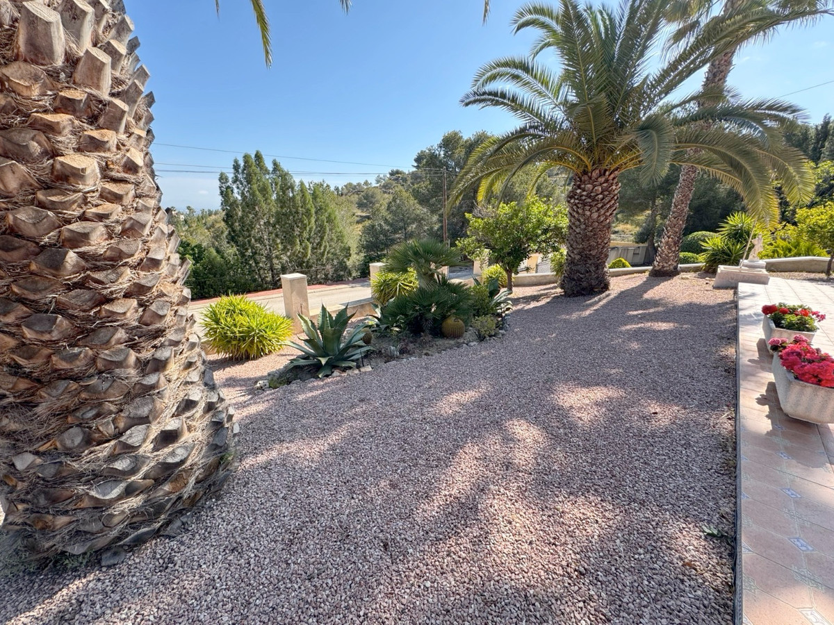 3-Bedroom Detached House in Algorfa | Sunny Casas - Cost... - Image 23