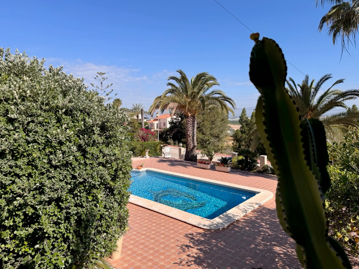 3-Bedroom Detached House in Algorfa | Sunny Casas - Cost... - Image 25