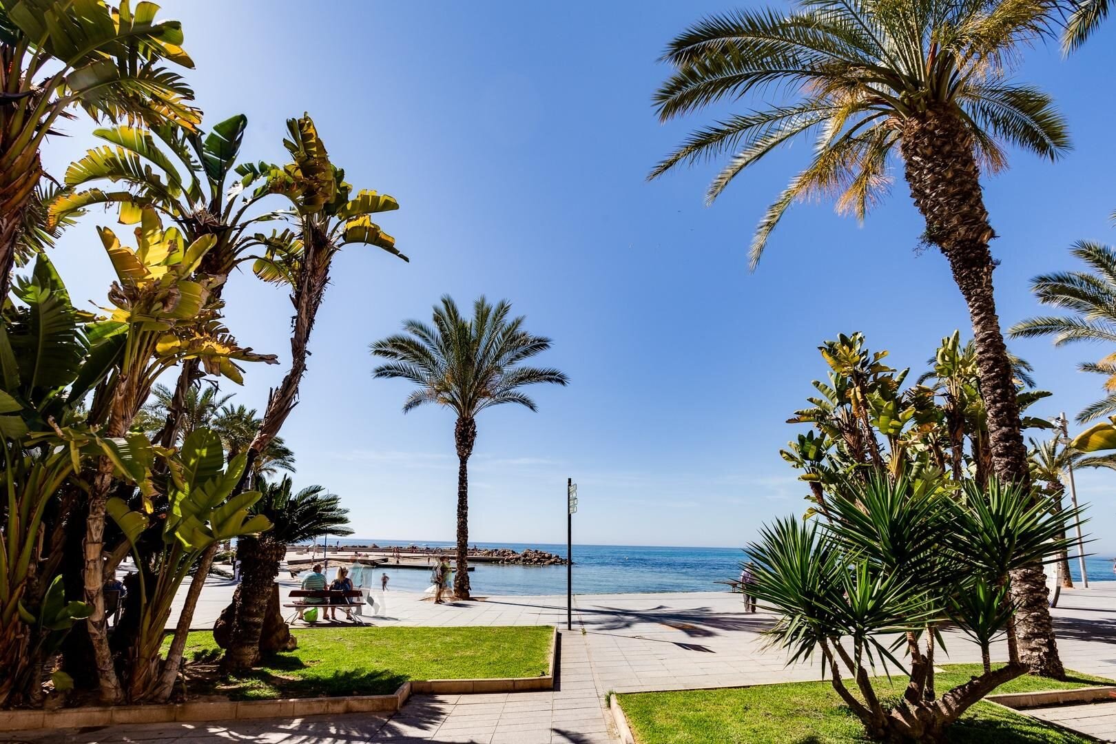 3-Bedroom Apartment in Estacion de Autobuses, Torrevieja - Image 20