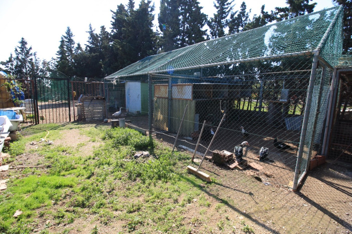 2-Bedroom Bungalow in Orihuela Costa | Sunny Casas - Cos... - Image 14