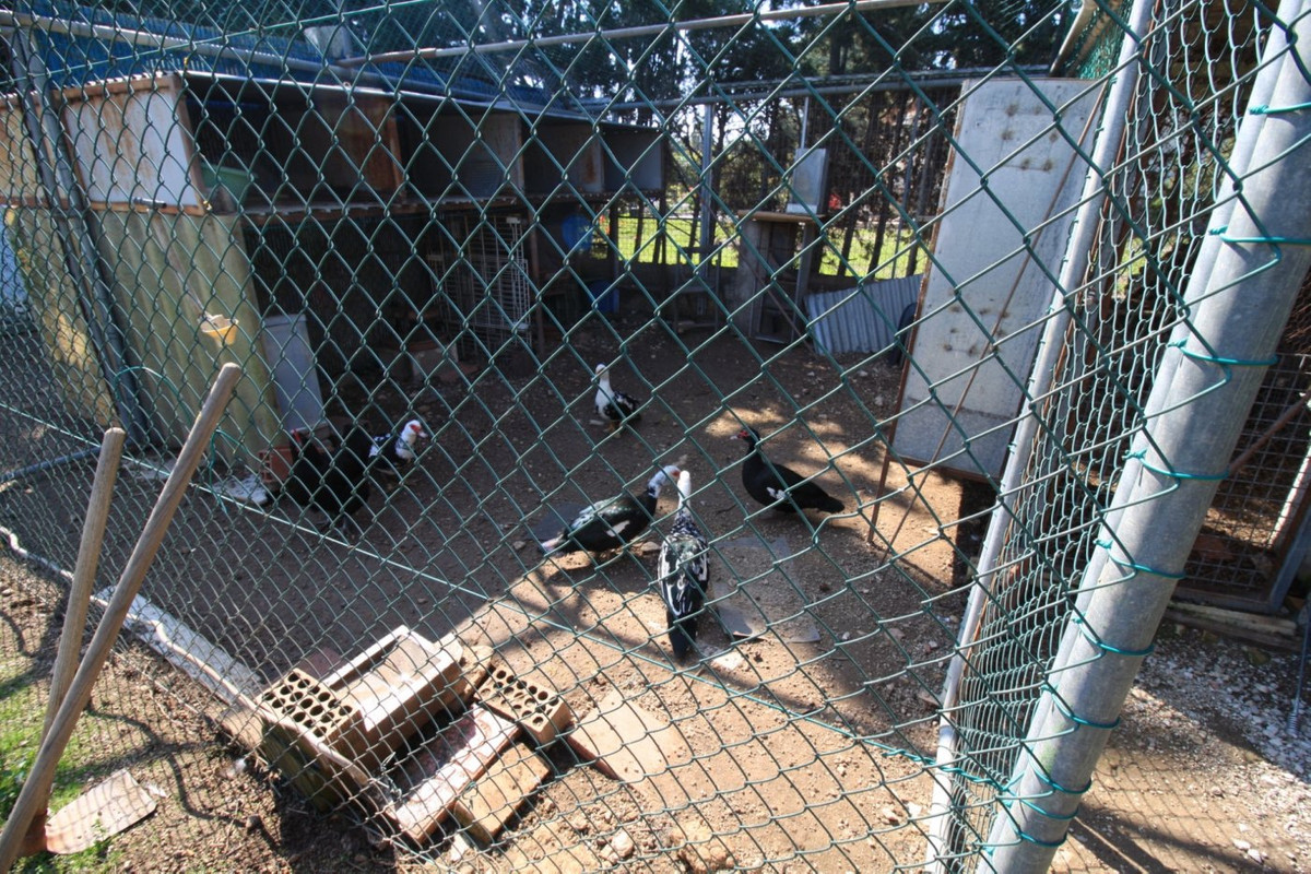 2-Bedroom Bungalow in Orihuela Costa | Sunny Casas - Cos... - Image 15