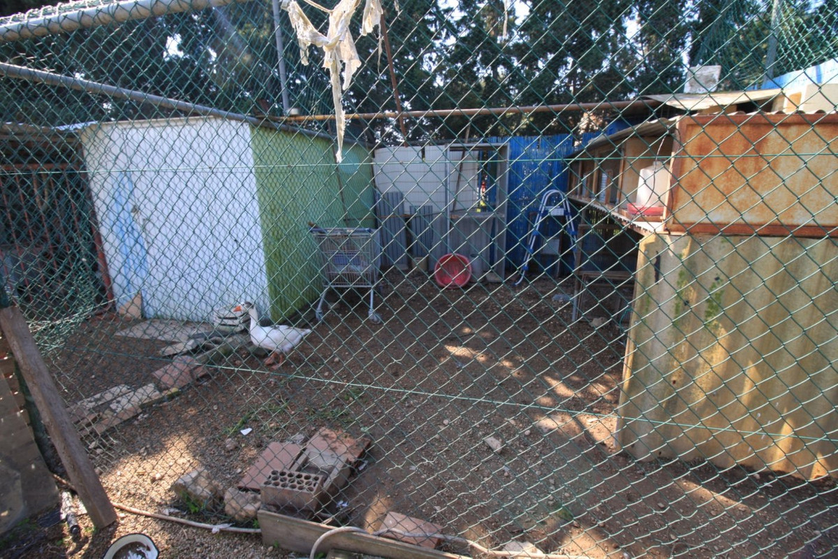 2-Bedroom Bungalow in Orihuela Costa | Sunny Casas - Cos... - Image 16