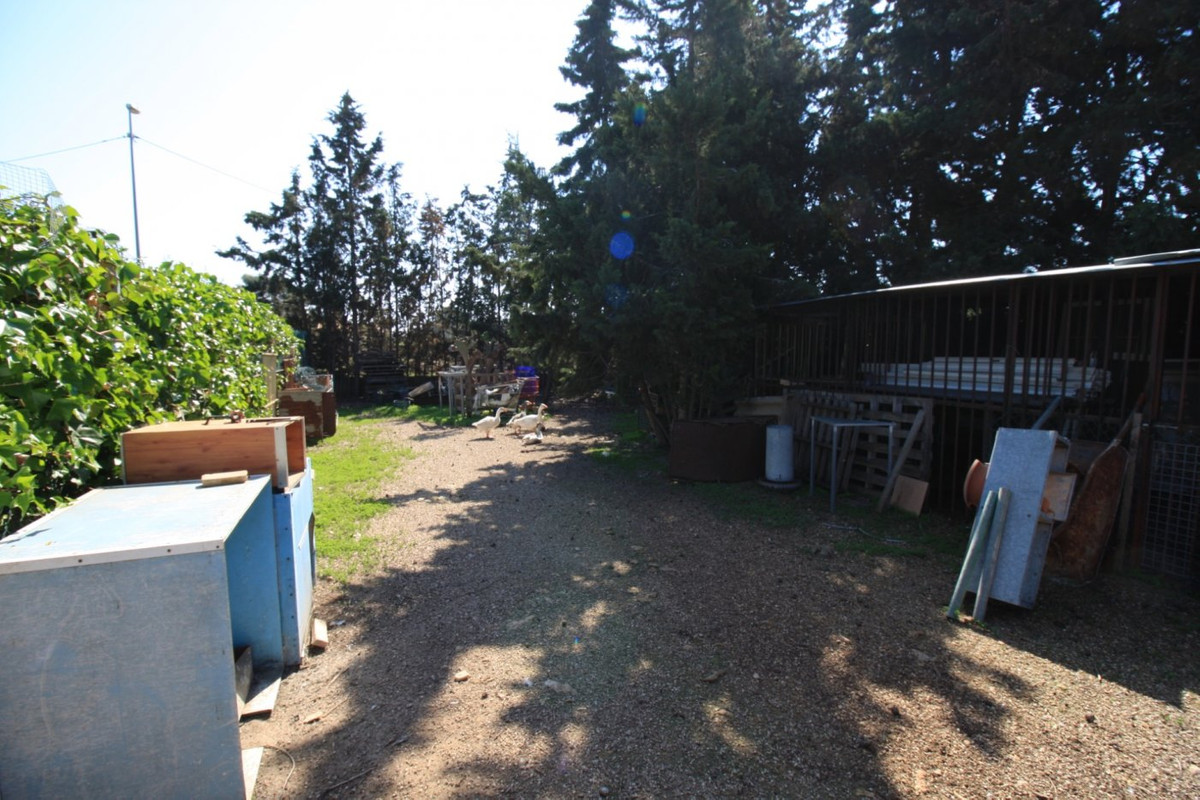 2-Bedroom Bungalow in Orihuela Costa | Sunny Casas - Cos... - Image 19